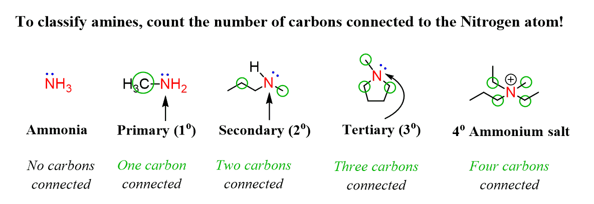 Primary Secondary Tertiary Amine Primary Secondary Tertiary Amine