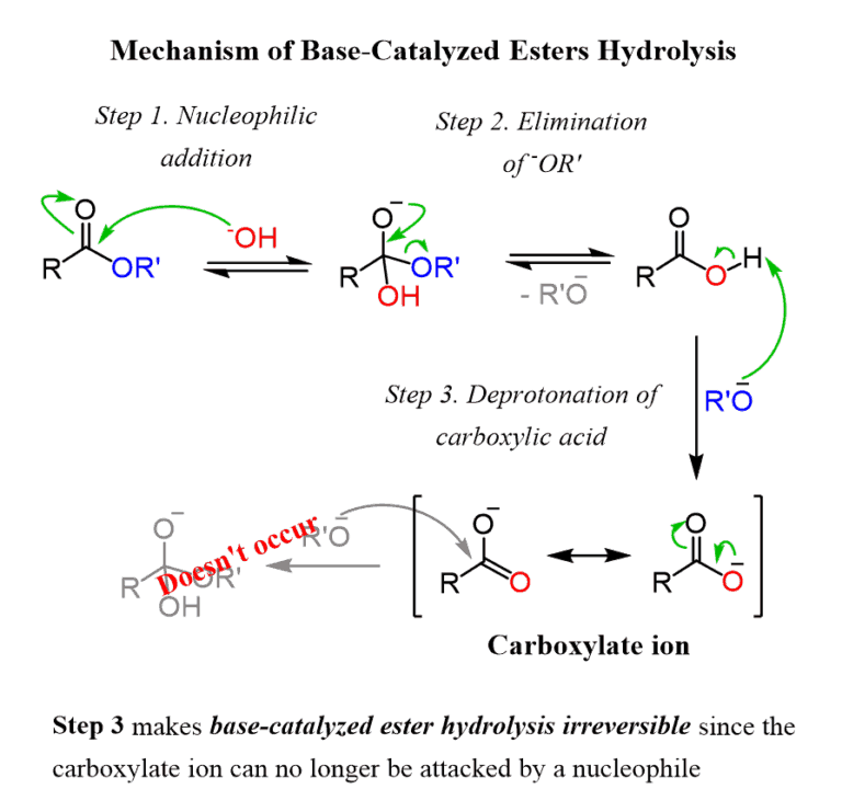 Ester Hydrolysis Acid and BaseCatalyzed Mechanism Chemistry Steps