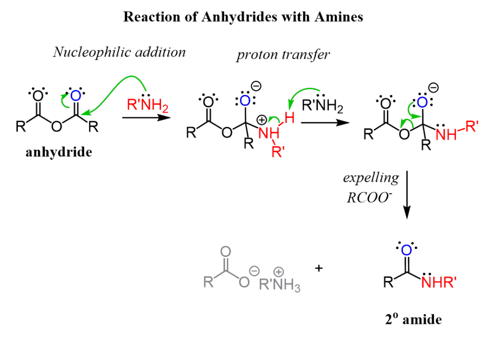 Preparation and Reaction Mechanisms of Carboxylic Anhydrides