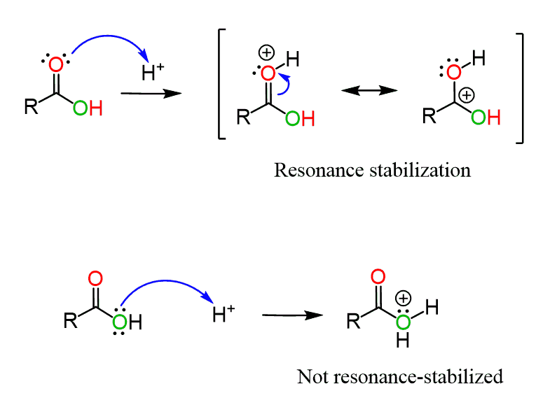 Fischer Esterification Chemistry Steps