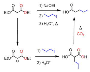 Malonic Ester Synthesis - Chemistry Steps