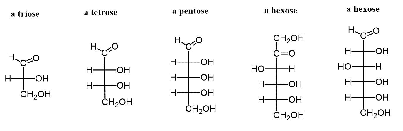 Carbohydrates Structure And Classification Chemistry Steps
