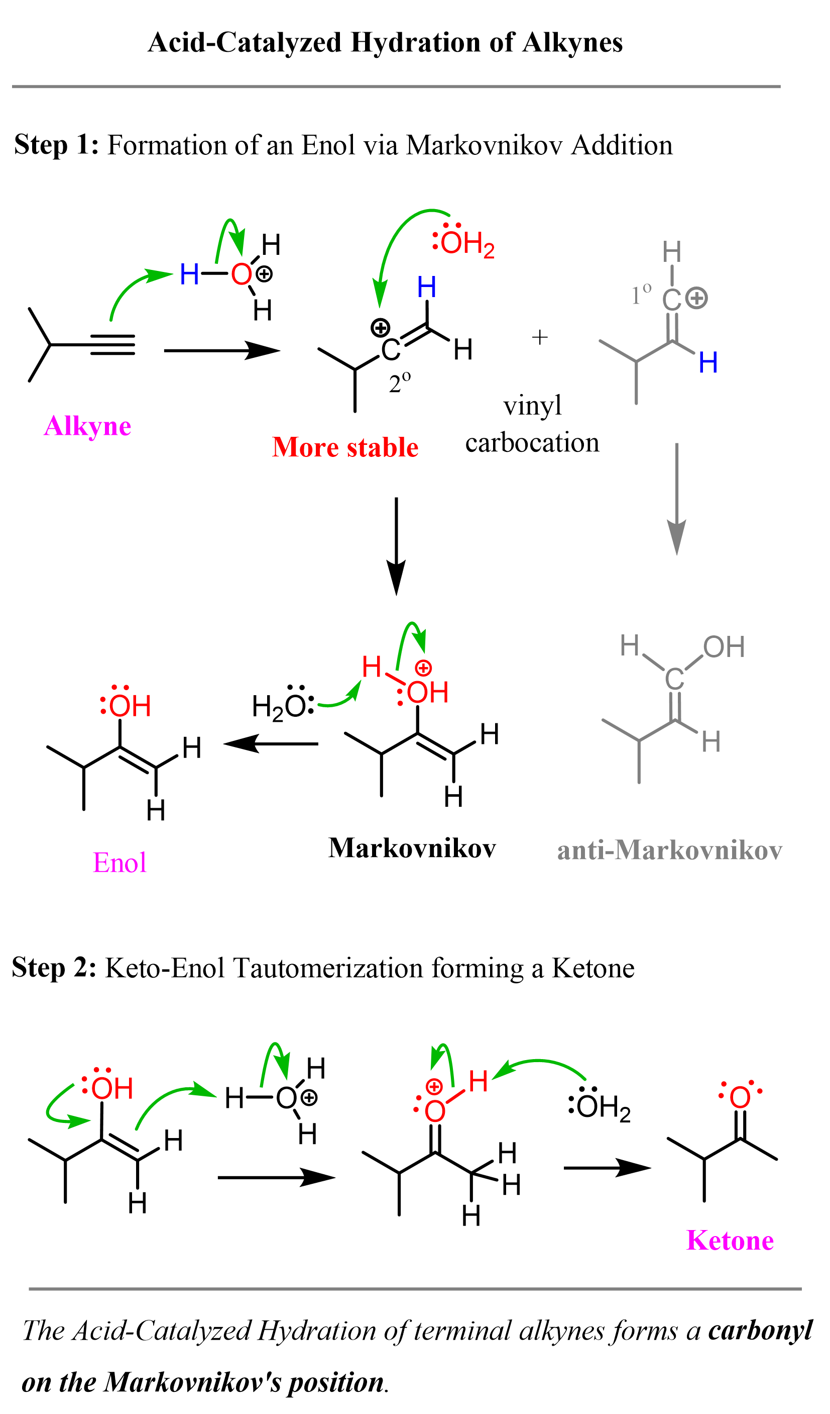 Acid-Catalyzed Hydration of Alkynes