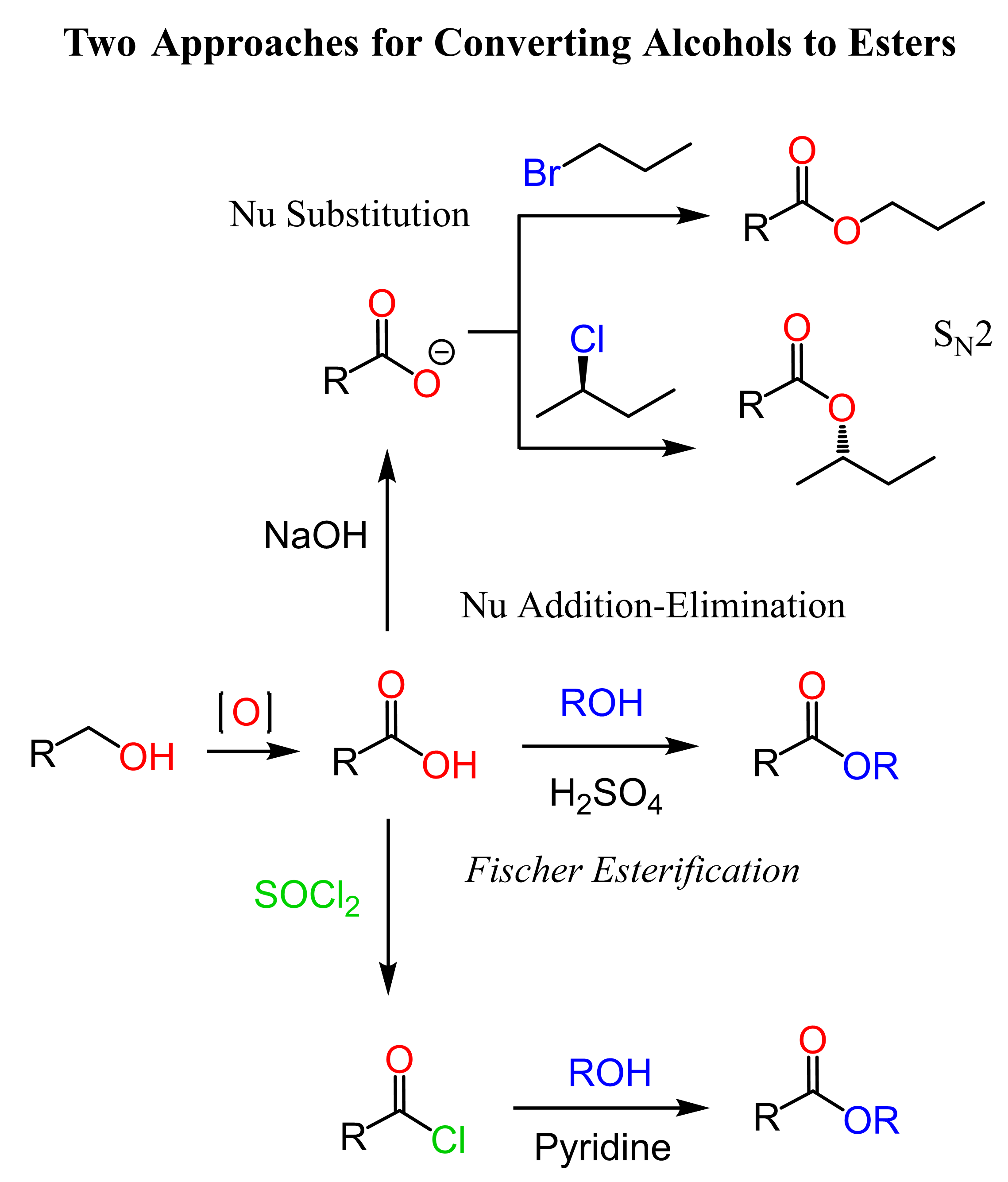 Converting Alcohols to Esters