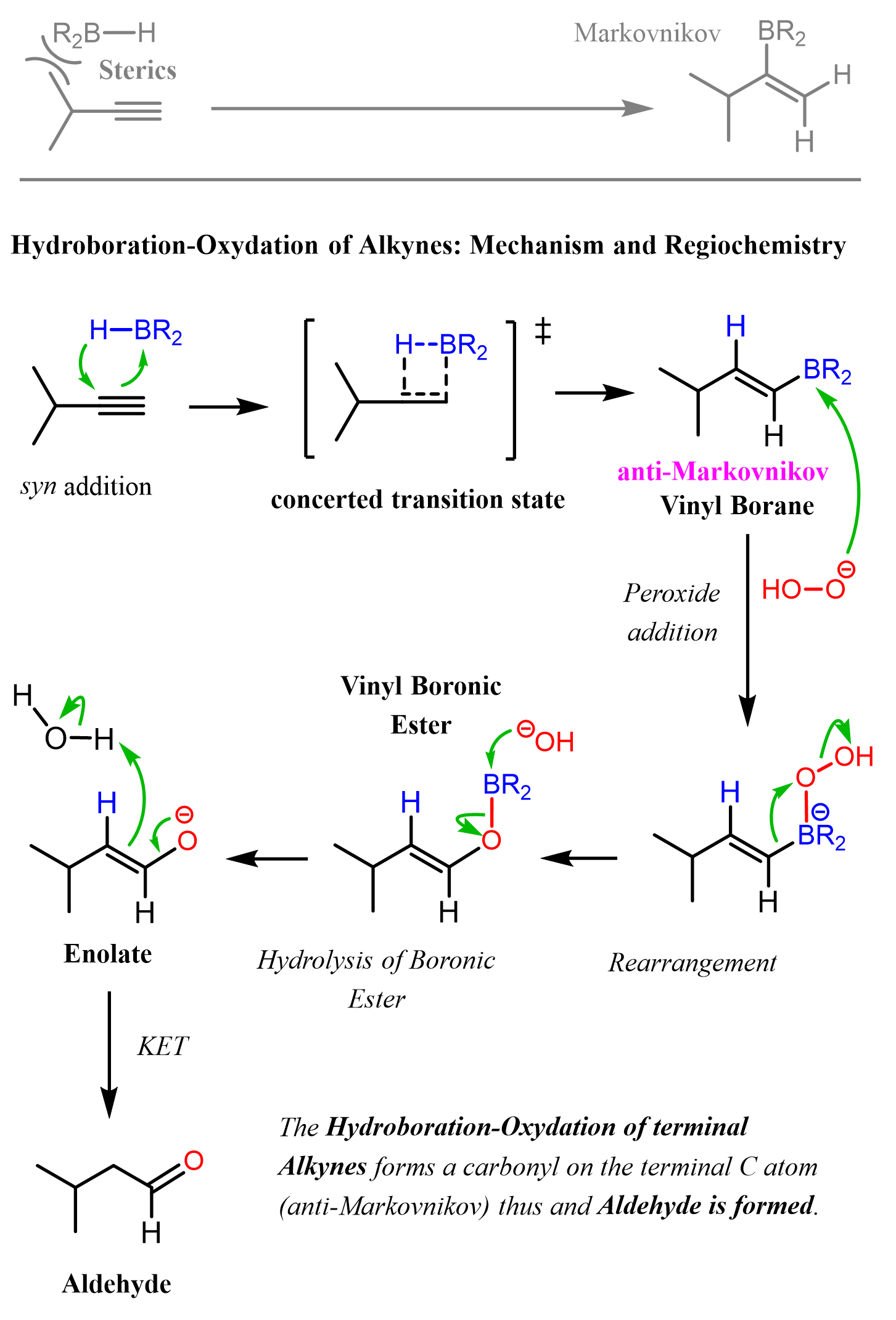 Hydroboration of Alkynes