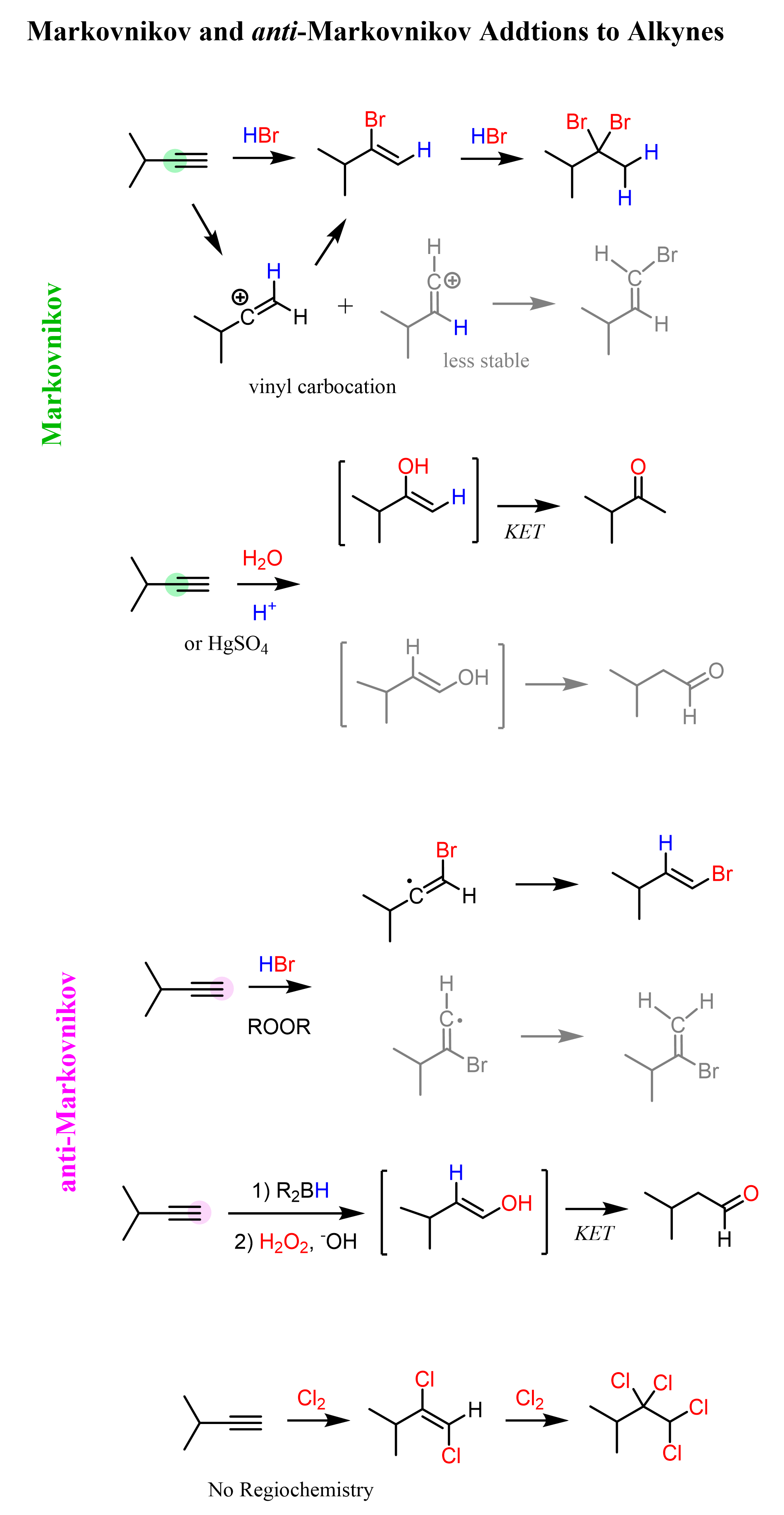Markovnikov and anti-Markovnikov Additions to Alkynes