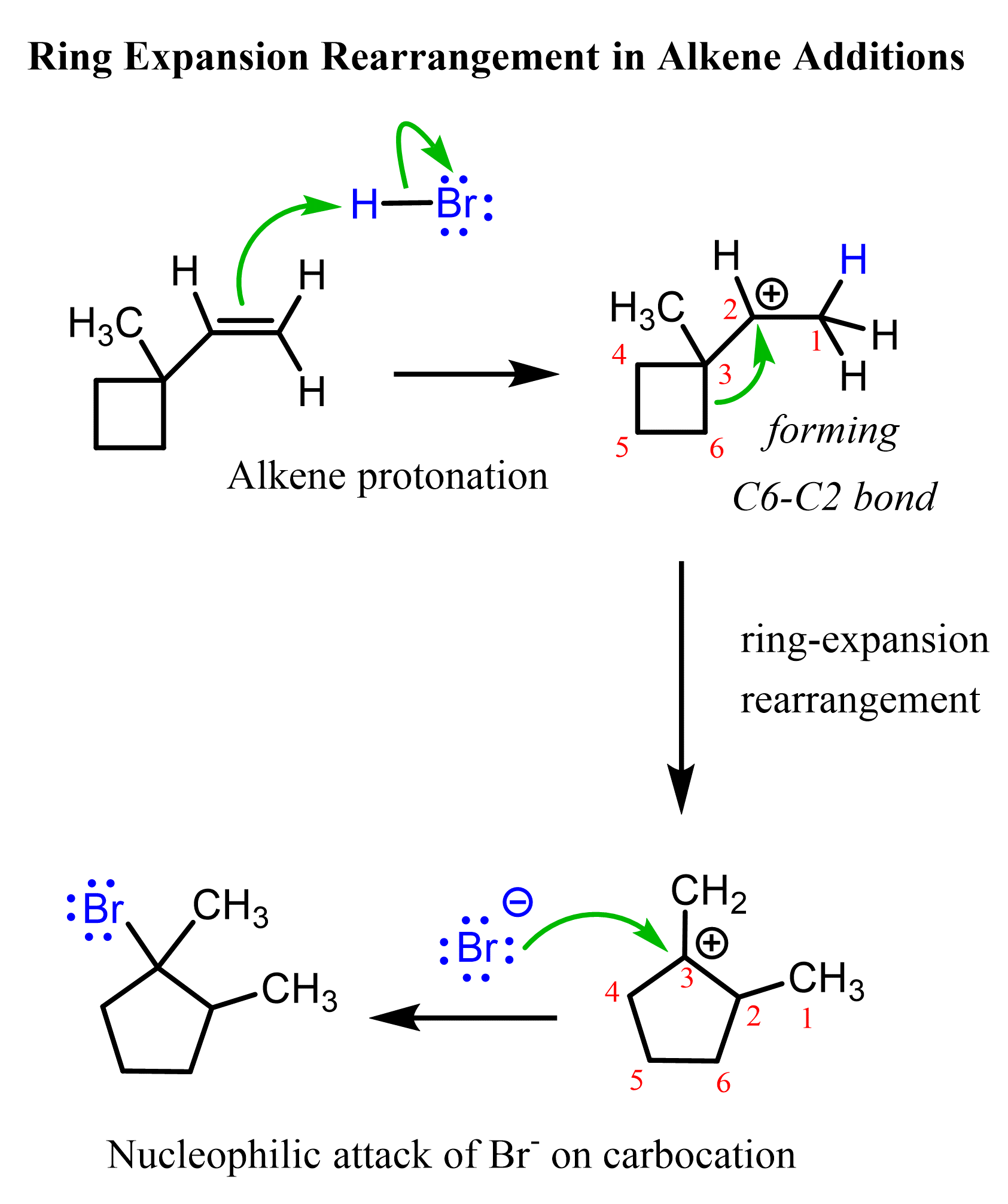 Ring Expansion Rearrangement in Alkene Additions