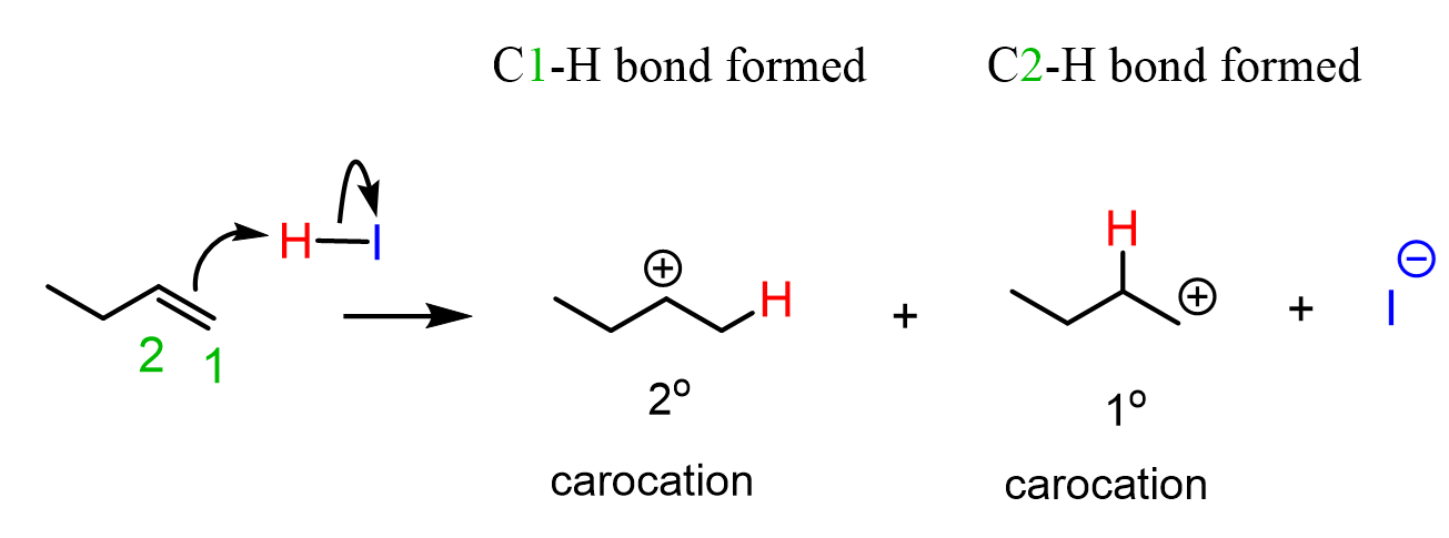 alkene double pi bond protonation