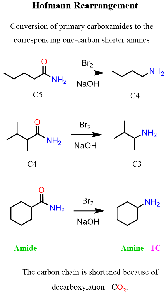 Hofmann Rearrangement converting primary amides to amines
