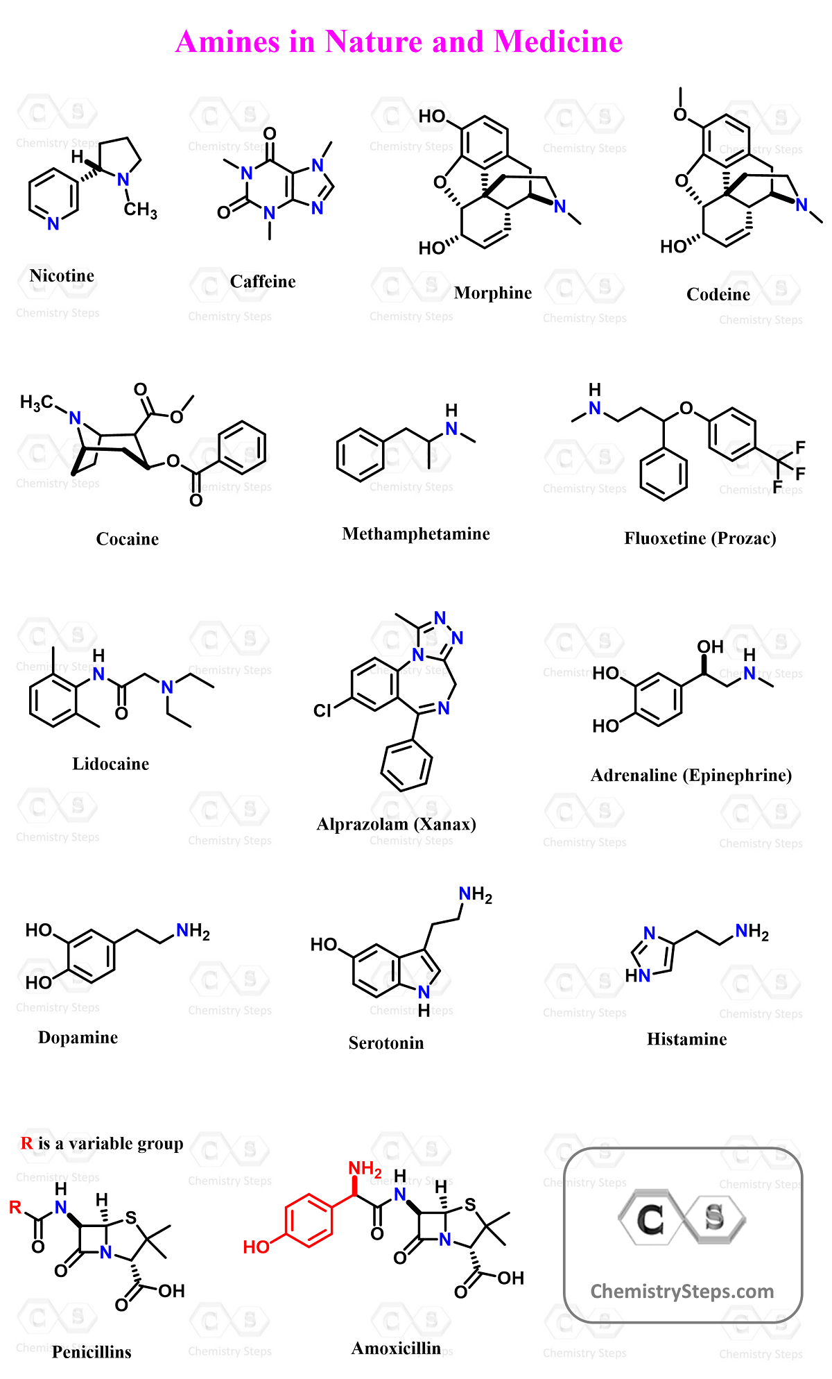 Amines In Organic Chemistry