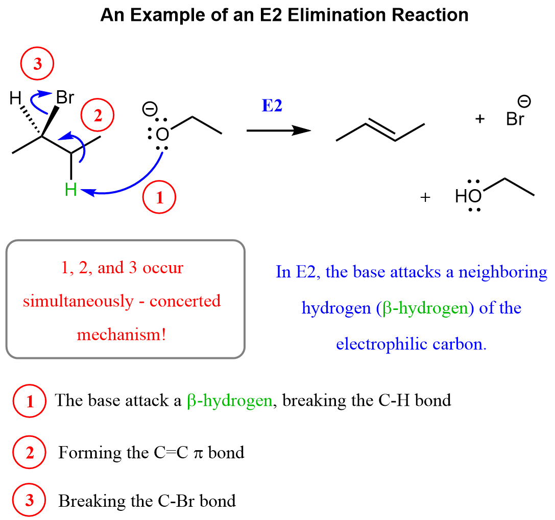 An Example of an E2 Elimination Reaction