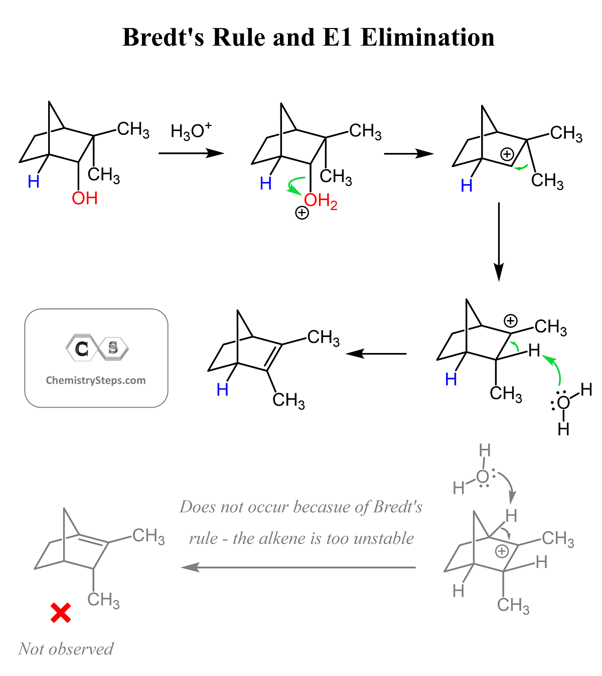 Bredt's Rule and E1 Elimination