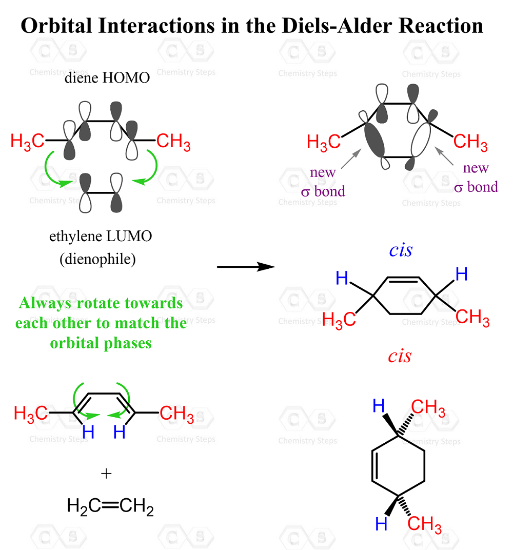 Orbital Interactions in the Diels-Alder Reaction