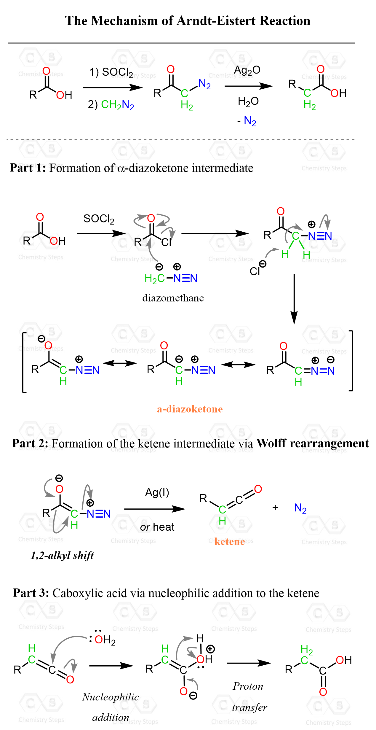 Arndt-Eistert Reaction Mechanism