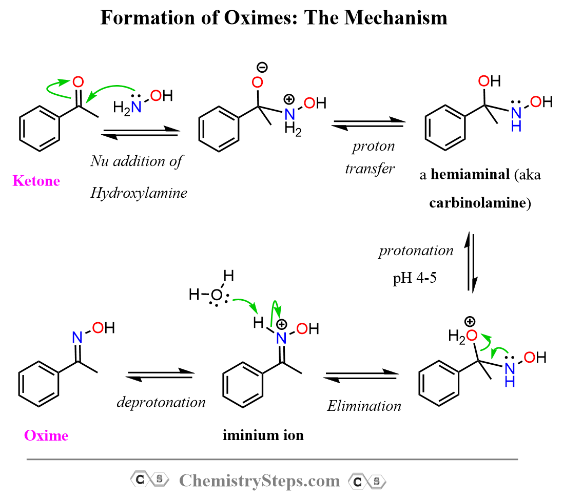 Oxime formation mechanism from hydroxylamine aldehyde and ketone