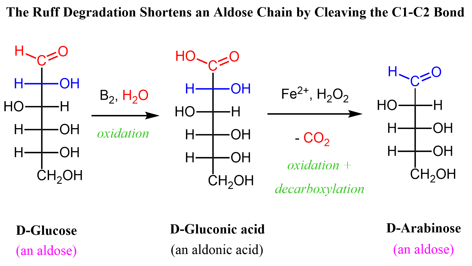 Ruff degradation carbohydrates