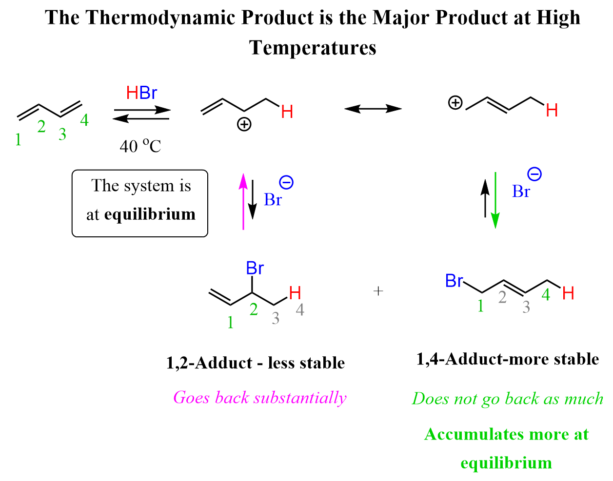 Thermodynamic major high temperature conjugated diene HBr